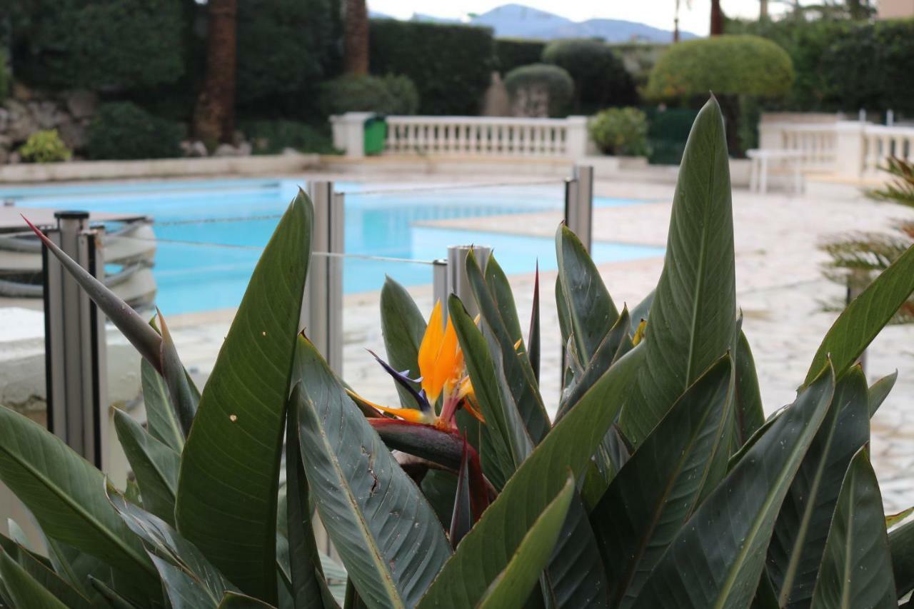 Appartement Palm d'Azur Cannes Kültér fotó